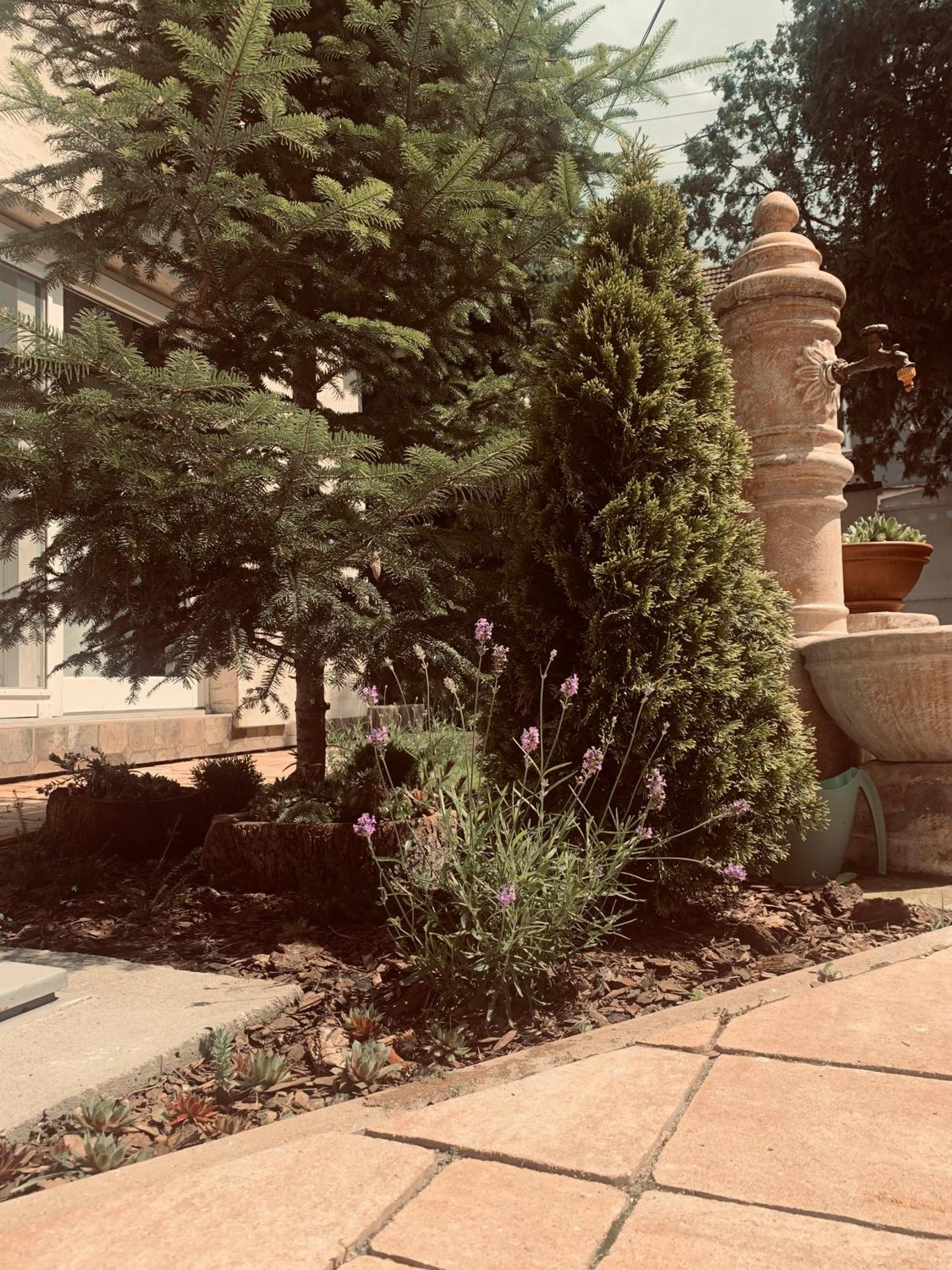 Apartmán La Casa Tamaris Senta Exteriér fotografie